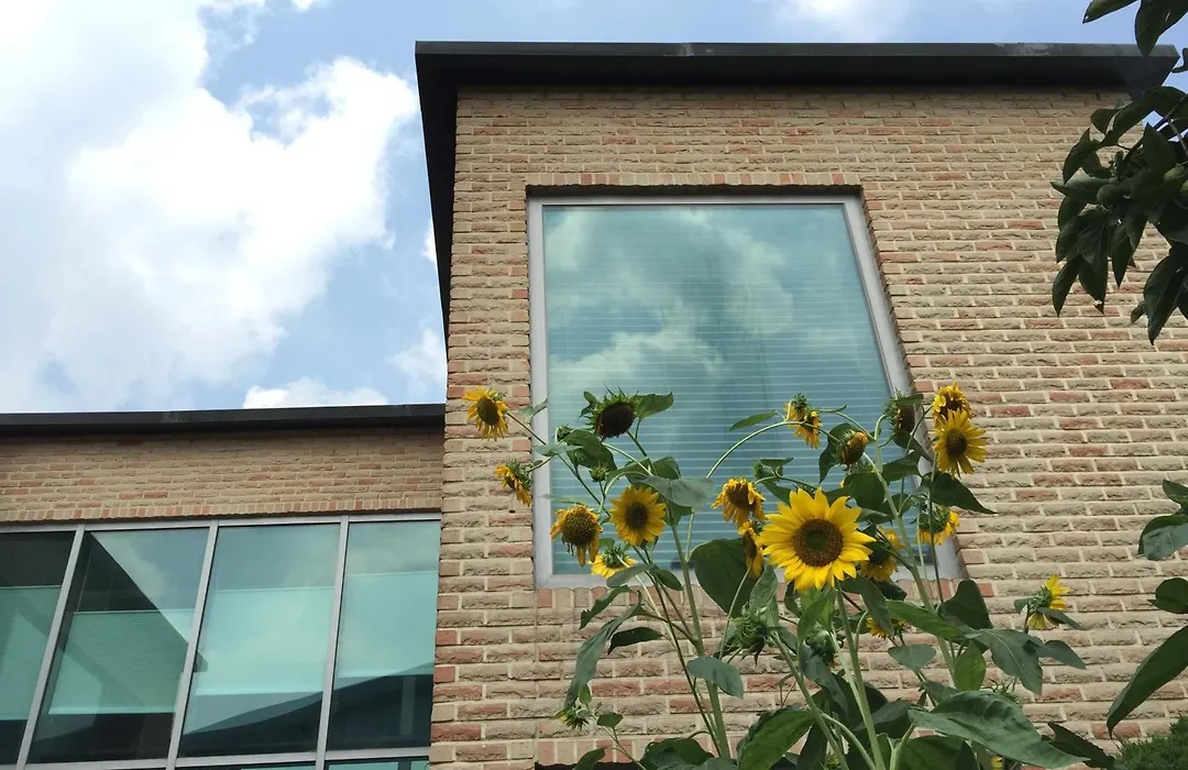 Puzzlestay House-1