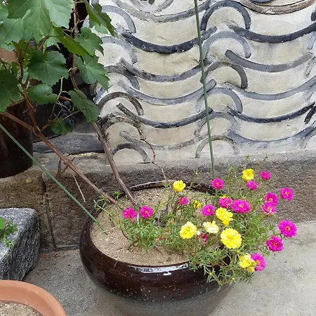 Dajayon Hanok Stay-3